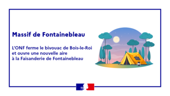 Massif de Fontainebleau : des changements prévues en avril sur les aires de bivouac