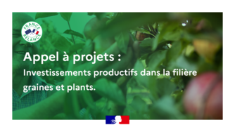Appel à projets pour accompagner les entreprises de production et de plantation de plants forestiers