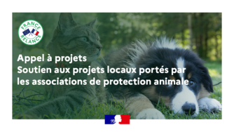 Appel à projets : soutien aux projets locaux portés par les associations de protection animale 