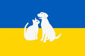 Gestion de la situation sanitaire des carnivores domestiques des ressortissants ukrainiens 